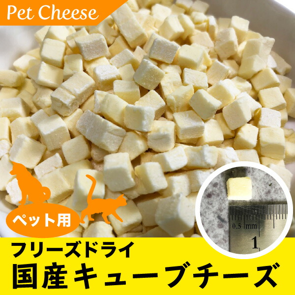 犬 猫 国産 おやつ フリーズドライ キューブチーズ 小粒 業務用 ブリーダーパック 1kg 小動物 ミニブタ 人気 ナチュラルチーズ 送料無料 Dbp 犬 フリーズドライ チーズ キューブ 一緒に食べれます 小粒だからハムスターな Volleybalcluboegstgeest Nl