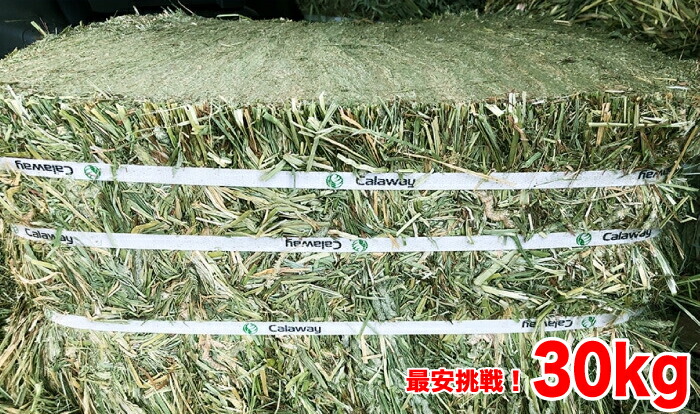 アルファルファ20kg KYO 楽天市場】アルファルファ20kg : どうぶつのごちそう