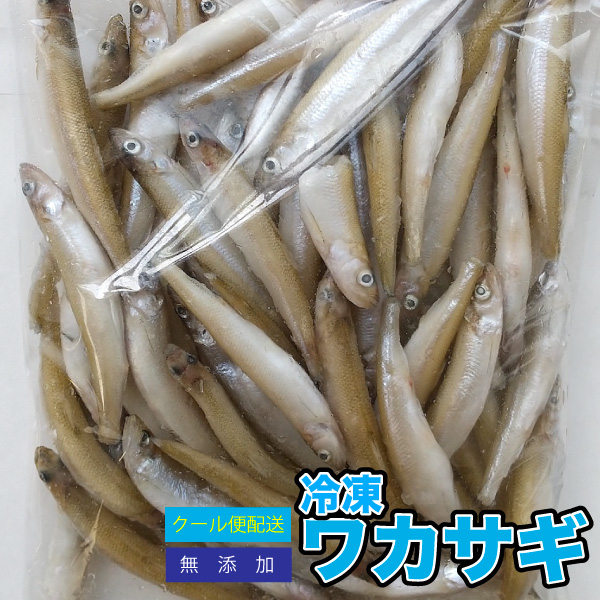 5袋セット 冷凍餌 冷凍ワカサギ 約2 5kg 約500g 5p 約8cm前後 わかさぎ 大型魚のエサ 別途クール便送料 クール便配送 爬虫類 両生類 Dbp うのにもお得な情報満載 5袋セット 冷凍餌 冷凍ワカサギ 約2 5kg 約500g 5p 約8cm前後 わかさぎ 大型魚のエサ 別途クール便送料 クール便配送 爬虫類 両生類 Dbp うのにもお得な情報満載