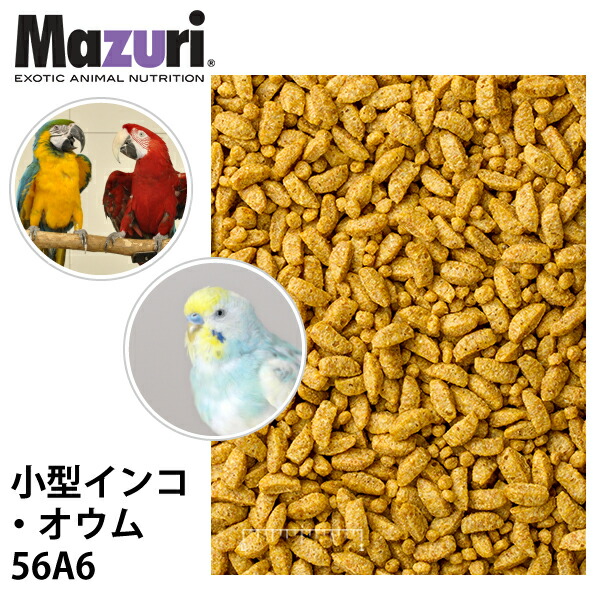 Mazuri マズリ 小型インコ・オウム スモールバードメンテナンス 56A6 フード 11.3kg 小鳥 ペレット エサ ブリーダー 送料無料