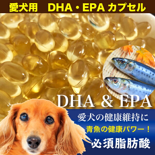 楽天市場 Dhc 愛犬用 Dha Epa 60粒 Dhc ペット 爽快ドラッグ