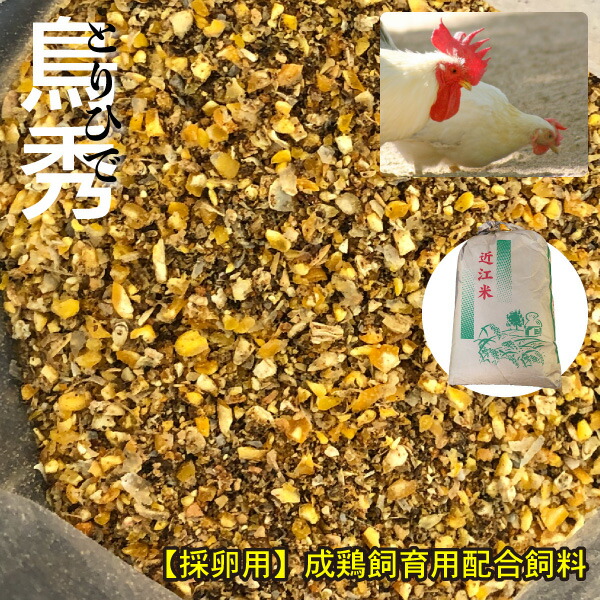 楽天市場】【20kg】にわとり えさ 鶏 飼料 とりひかり 鳥光 【再