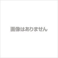 エスコ ESCO 【個人宅不可】 デジタル一眼レフカメラ（保護フィルム・SDカード付） EA759GA-135F [2-0201118]｜ＤＡＩＳＨＩＮ工具箱　店