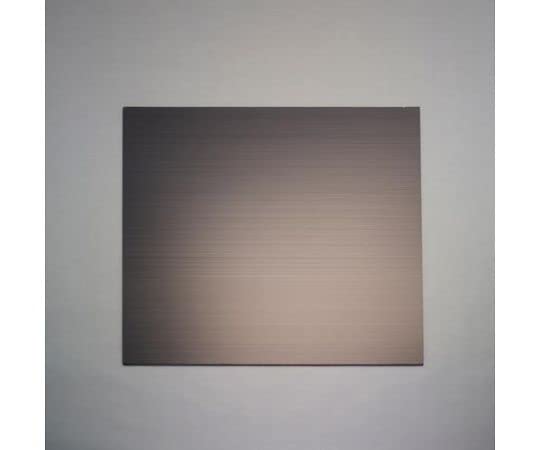 エスコ ESCO 【個人宅不可】 900x 600x5mm プラダン（サンプライ・導電/5枚） EA911BD-321 [2-1103098] 5,932円