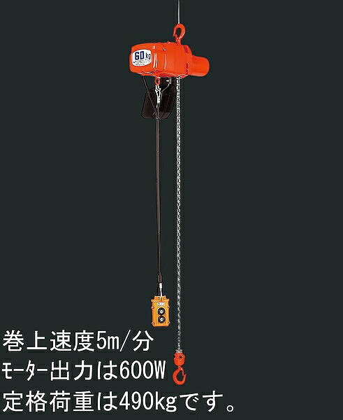 エスコ ESCO 【個人宅不可】 AC100V/490kgx 5m 電動チェーンブロック EA987DA-9 [2-0434318]