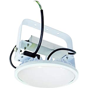 日動工業 【個人宅不可】 高天井照明器具（LED） ハイディスク100W 昼白色 吊下げ型 乳白ワイド L100V2-P-HMW-50K [88-054949]