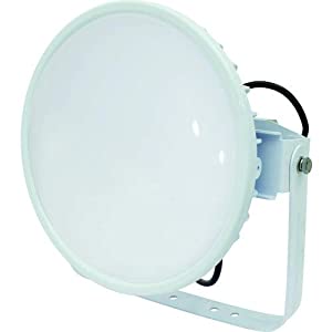 日動工業 【個人宅不可】 高天井照明器具（LED） ハイディスク200W 電源装置一体型 昼白色 投光器型 乳白ワイド L200V2-D-HMW-50K [88-055076]