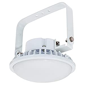 日動工業 ハイスペックハイディスク150W 電源装置内蔵型 昼白色 吊下げ型 乳白 L150B-P-HM110-50K [88-055663]