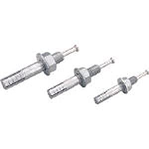 ユニカ 【50個販売】ルーティアンカー Cタイプ 溶融亜鉛メッキ C-1080D [110-701120]