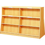 プラス 【別途送料】 【個人宅不可】 23005）傾斜書架（両面型） TJ-A23KR TJ-A23KR [1105-00018000]