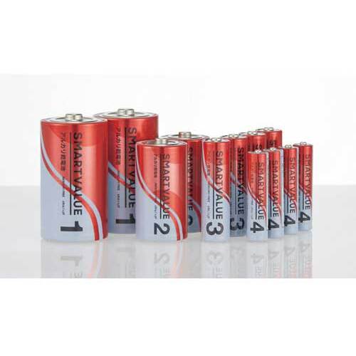 プラス JTX 366083）アルカリ乾電池単3×200本 N123J-4P-50 N123J-4P-50 [1105-5029168]