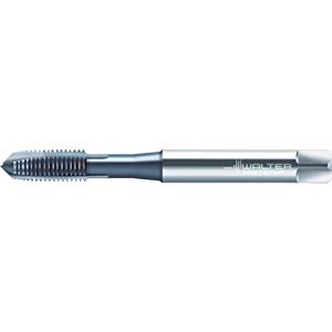 ワルタージャパン プロトティップ INOX ポイントタップ（TICNコート） JC2026306-M24 [1184-199531]