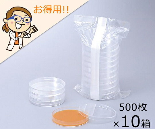防災グッズ特集