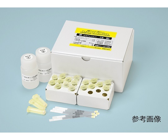 防災グッズ特集