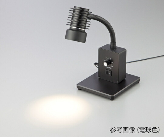 防災グッズ特集