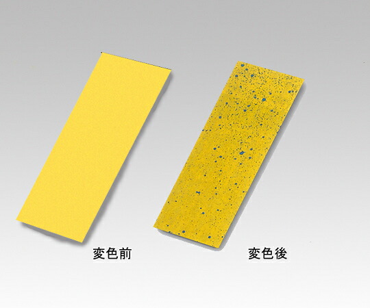 防災グッズ特集