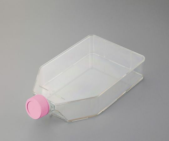 防災グッズ特集
