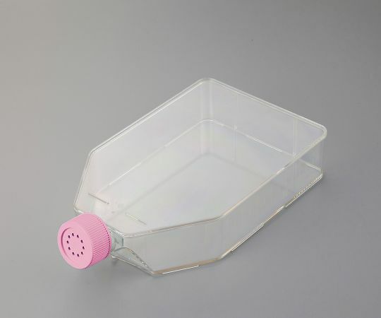 防災グッズ特集