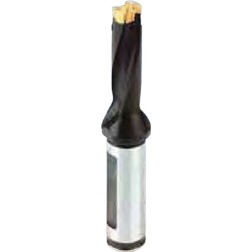 イスカルジャパン イスカル カムドリル ヘッド交換式ドリルホルダ DCM-3D DCM 220-066-25A-3D [1526-0003256]