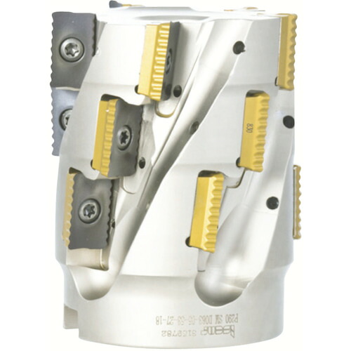 イスカルジャパン イスカル シュレッドミルP290 エンドミル P290 EPW 刃径40mm シャンク径40mm P290 EPW D40-4-250-W40-18 [1526-00008665]