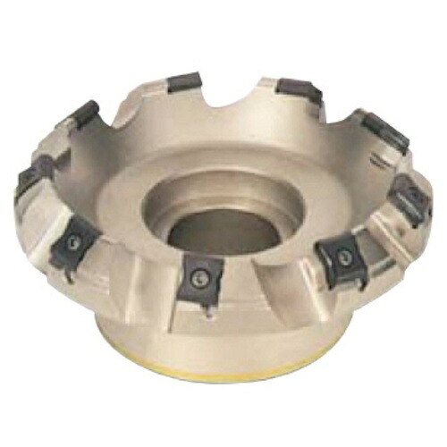 イスカルジャパン イスカル タングミル フェースミル F45LN-N15 F45LN D100-08-31.75-R-N15 [1526-00009920]