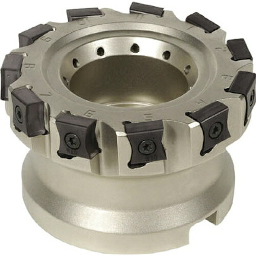 イスカルジャパン イスカル タングミル フェースミル F90LN-N15 F90LN D080-07-25.40-R-N15 [1526-00009928]｜ＤＡＩＳＨＩＮ工具箱　店