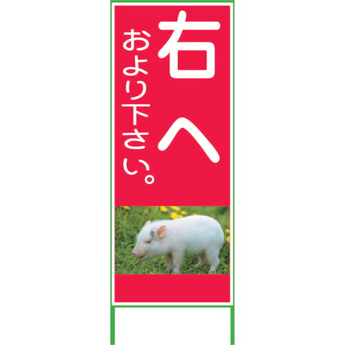 グリーンクロス 【別途送料】 【個人宅不可】 カラーイラストSL 右へ 1400×550 CSL22 1102075801 [1560-6248487]