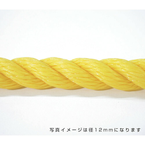 グリーンクロス 【別途送料】 【個人宅不可】 ポリエチレンロープ 黄 8mm 100m巻 6300040574 [1560-3423423]