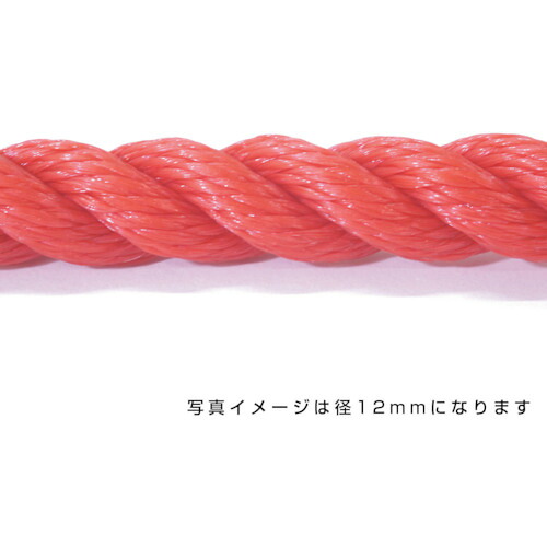 グリーンクロス 【別途送料】 【個人宅不可】 ポリエチレンロープ 赤 10mm 100m巻 6300040544 [1560-3423126]