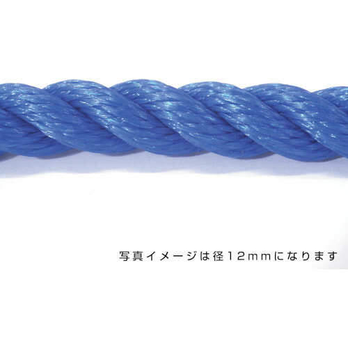 グリーンクロス 【別途送料】 【個人宅不可】 ポリエチレンロープ 青 10mm 200m巻 6300040552 [1560-3423201]