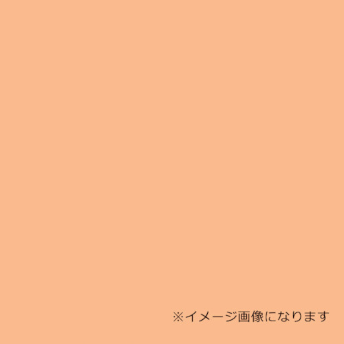 防災グッズ特集