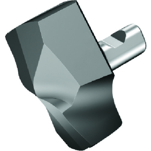 サンドビック 【2個販売】SANDVIK コロドリル870 ドリルヘッド（346） 4334 870-1910-19-GP [1572-00037152]