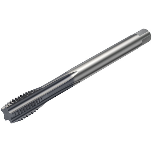 サンドビック SANDVIK コロタップ100 ストレートタップ（780） D210 T100-KM106DB-M10X100 [1572-00043925]
