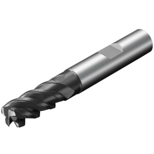 サンドビック SANDVIK コロミルプルーラ（730） 1725 2S440-1200-100-SD [1572-00044582]