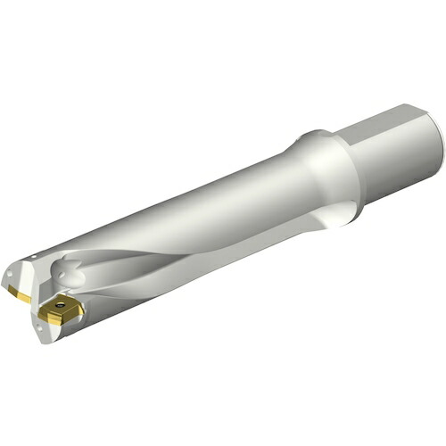 サンドビック SANDVIK コロドリルDS20刃先交換式ドリル（465） DS20-D5400L50-04 [1572-00045265]