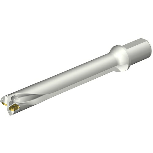 サンドビック SANDVIK コロドリルDS20刃先交換式ドリル（465） DS20-D4500L50-07 [1572-00045355]
