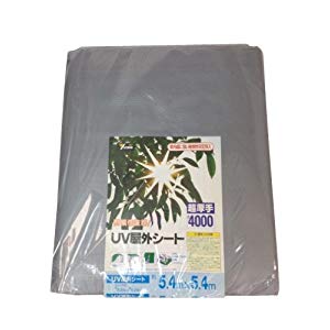 防災グッズ特集