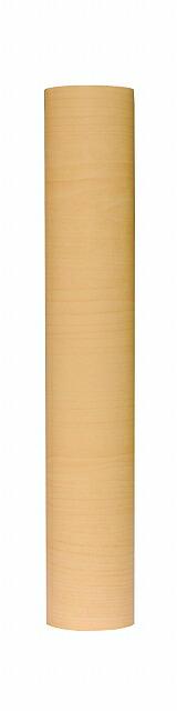 アサヒペン REALA RL-S15-3 -｜ＤＡＩＳＨＩＮ工具箱　店