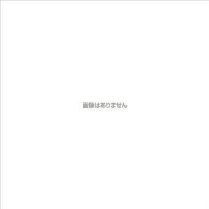 シンエイ 【別途送料】 【個人宅不可】 ローリングベースPG44R B2サイズ パックシート付 シルバー RB-B2AGP [990-726886]