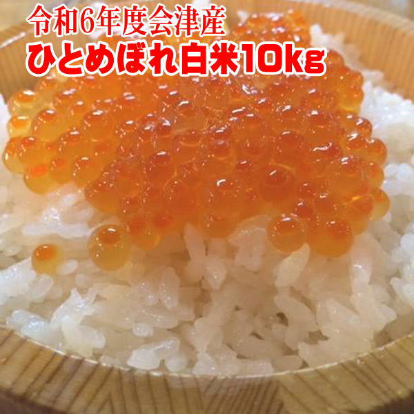 米 10kg ひとめぼれ 令和6年産【こだわり精米】 送料無料  白米 福島県 会津産 佐川急便 sふくしまプライド。体感キャンペーン