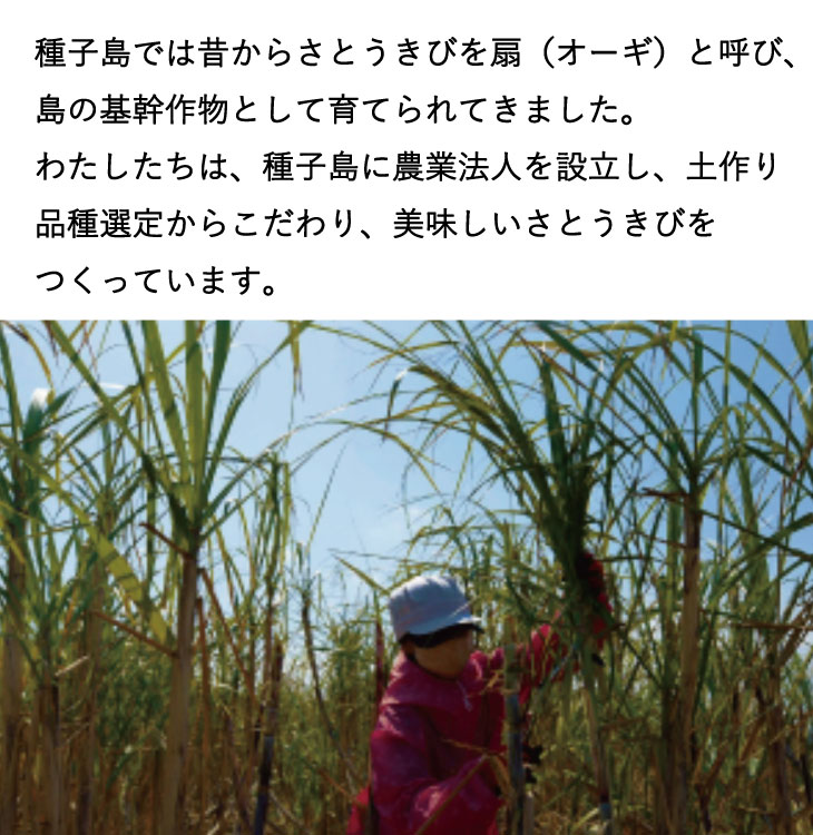 楽天市場 送料無料 種子島 砂糖 種扇糖 たねおうぎとう さとうきび糖 きび糖 kg 国産 大東製糖種子島ショップ