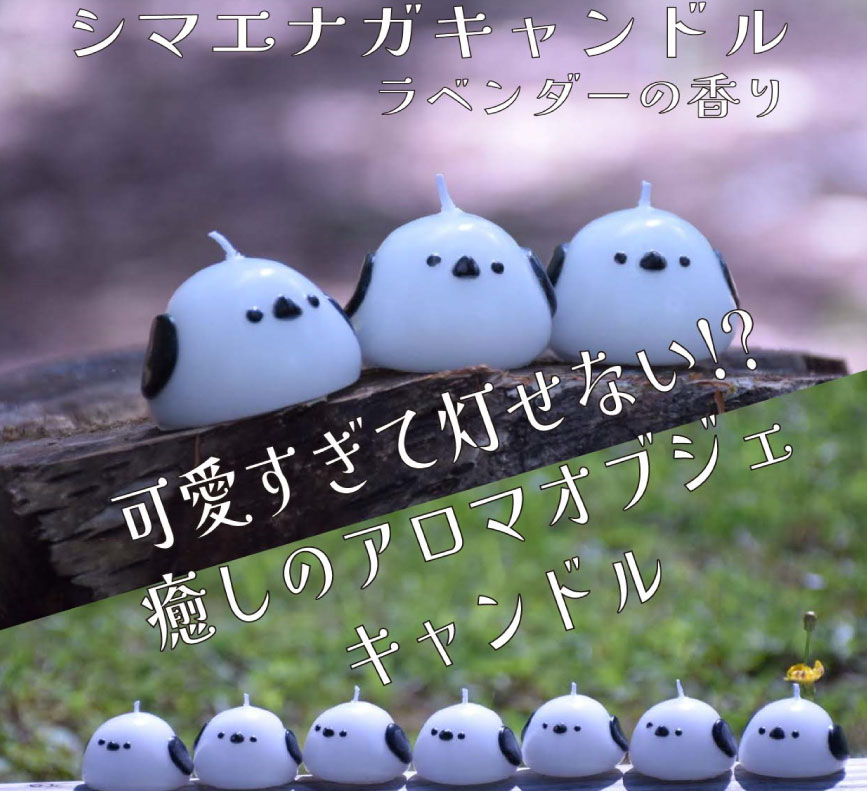楽天市場】【シマエナガキャンドル】リニューアル NEW キャンドル