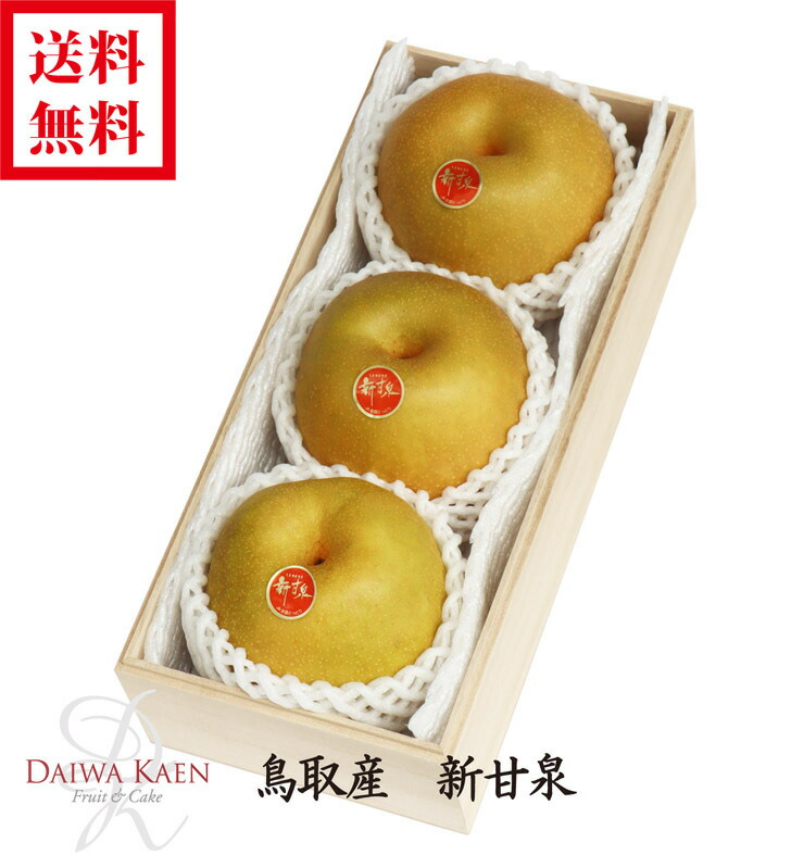 貨物輸送無料 敬老の時日 鳥取産生 新甘走井 ペヤ 至上 果物 フルーツ 礼物 贈進 大玉 ツリー入物 暑中御見舞 残暑御見舞 お供え 祝典 お訪問 内祝い 畏まり 賜物 Travel4fun Ba