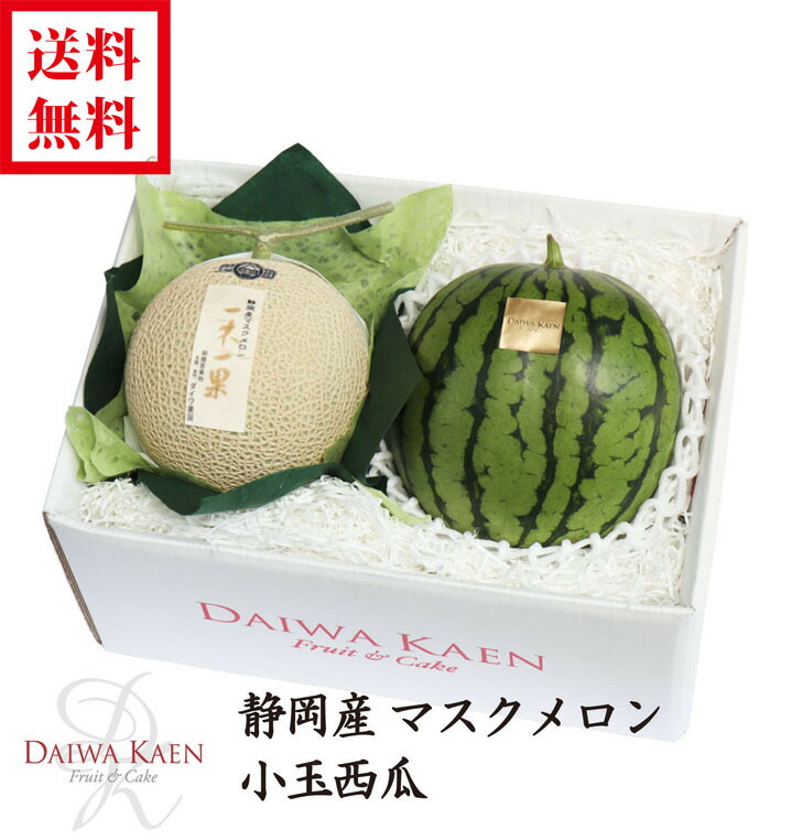送料無料 静岡産マスクメロン 小玉西瓜 アローマメロン 旬 詰合せ 高級 フルーツ 果物 ギフト 自家用 プレゼント 一木一果 御中元 お供え お見舞い お祝い 内祝い 御礼 贈り物 入学祝 就職祝