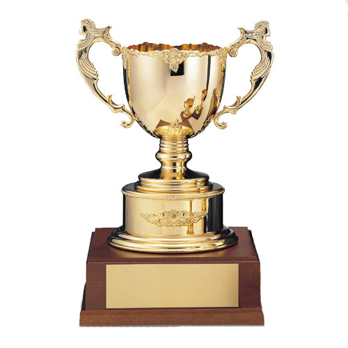 優勝カップ 真鍮製ゴールドカップ 高さ310x口径115mm Gc1087 C 文字彫刻無料 送料無料 木製ケース入り Fp Wg 2c Rocrooms Com