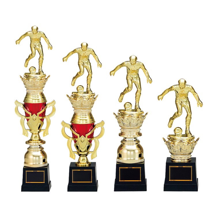 楽天市場】表彰トロフィー T1924 樹脂製 【化粧箱入り】【レーザー彫刻