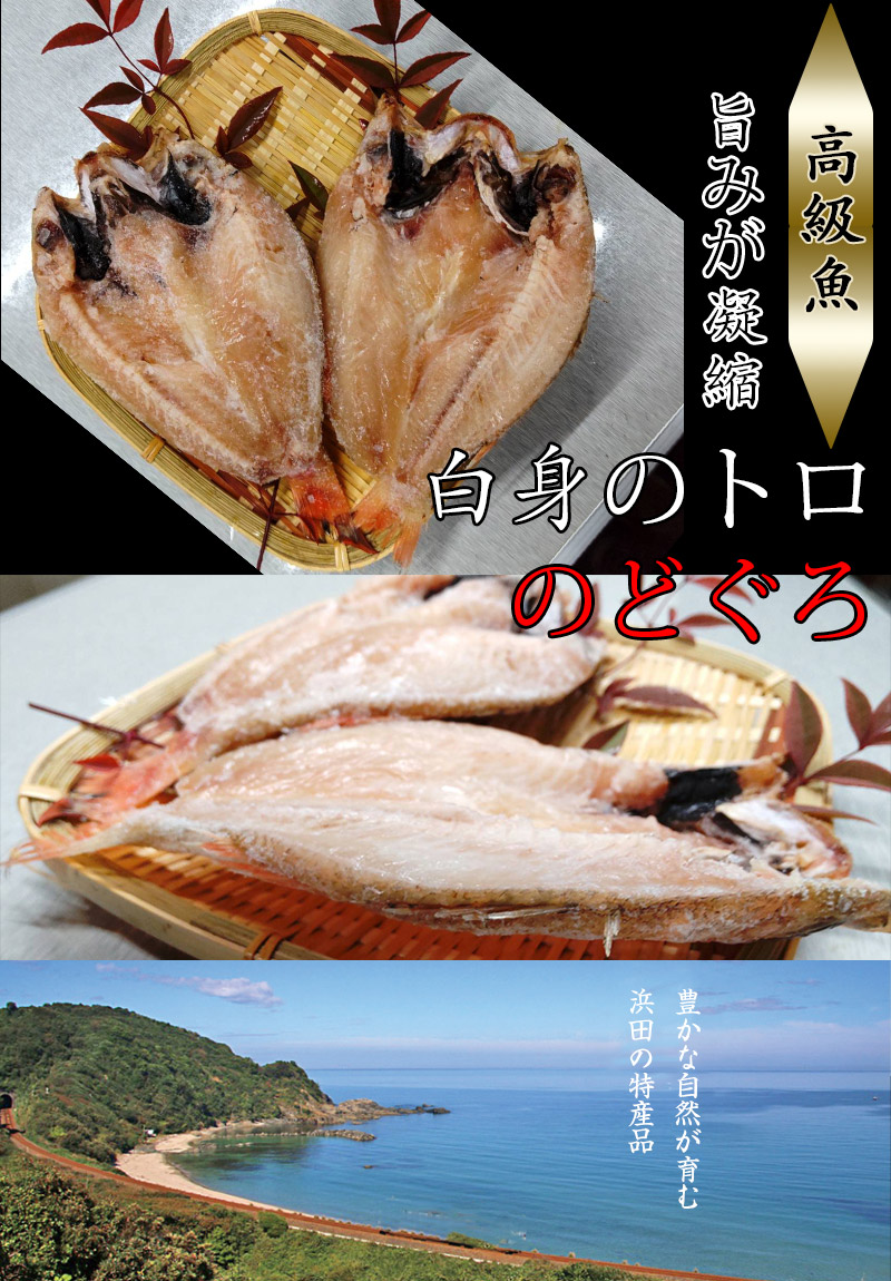 大きい のどぐろ 1尾 高級魚 大きさが自慢 お試し 送料無料 干物