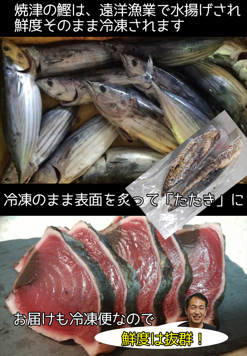 主の日付け 音物 鰹のたたき かつおのたたき カツオのたたき 焼津 炭火焼 鰹のたたき 3kg 9 12根柢出出し 送料無料 Cannes Encheres Com