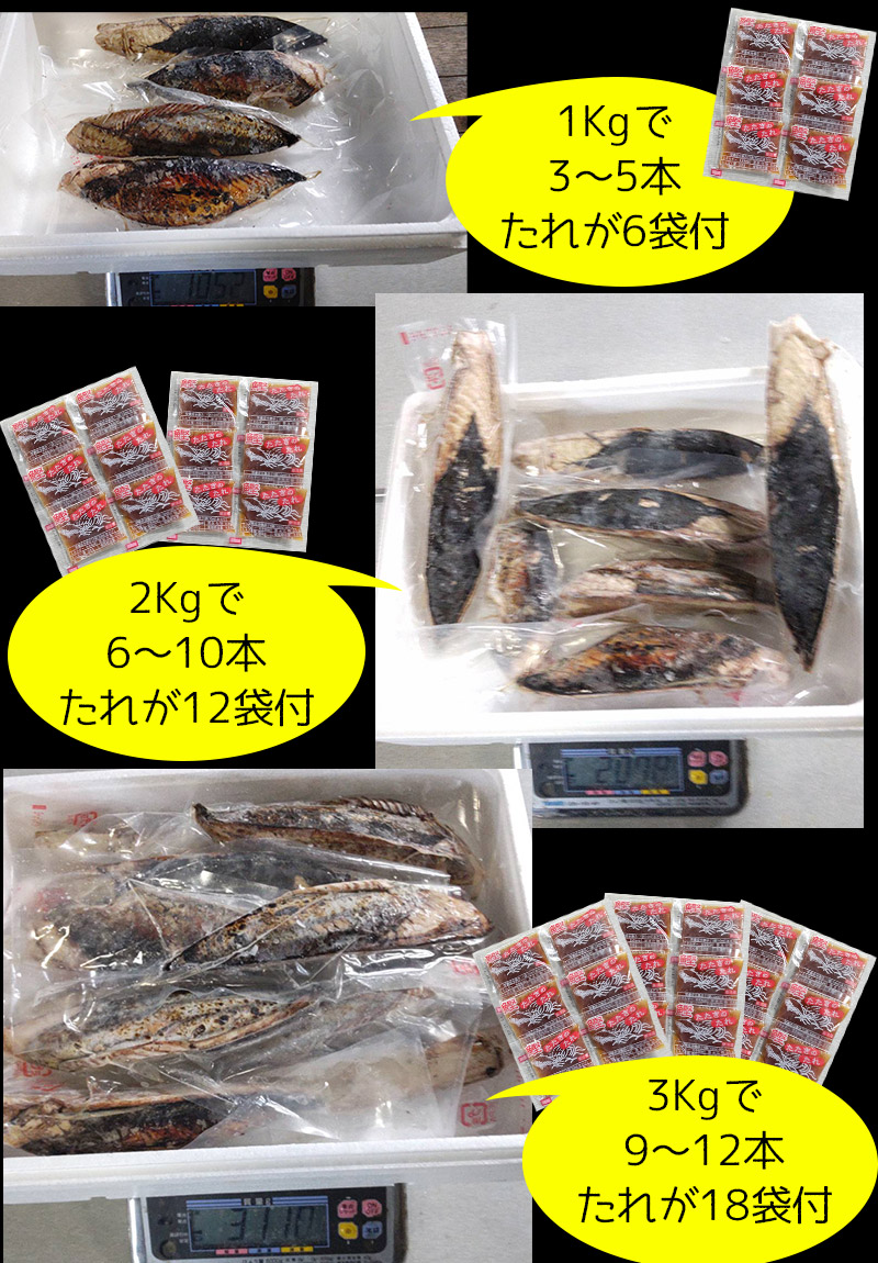 父の日 ギフト 鰹のたたき かつおのたたき カツオのたたき 焼津 炭火焼 鰹のたたき 3kg 9 12本入 送料無料 Allseasonparks De