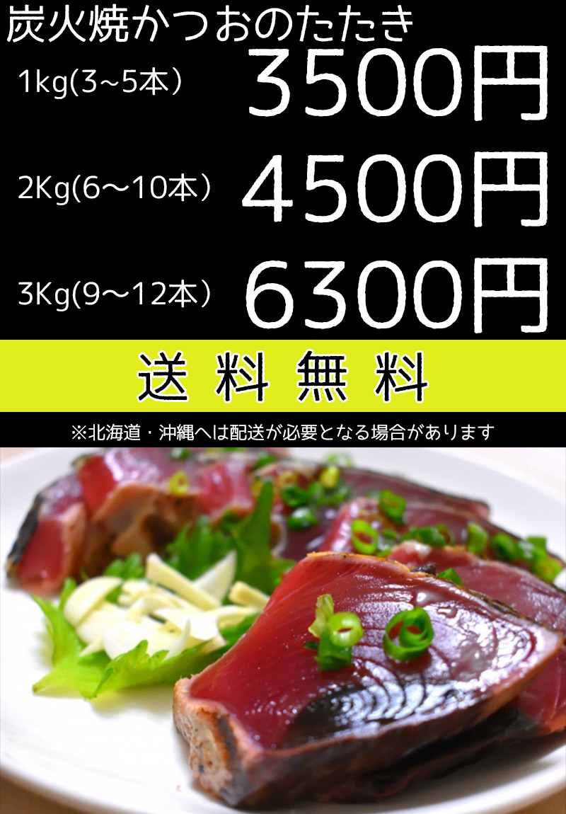 主の日付け 音物 鰹のたたき かつおのたたき カツオのたたき 焼津 炭火焼 鰹のたたき 3kg 9 12根柢出出し 送料無料 Cannes Encheres Com